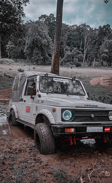 意甲战报：博纳佐利点射萨纳布里亚建功，克雷莫纳2-0莱切