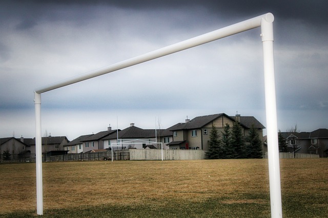 公布让本场 公布让本场