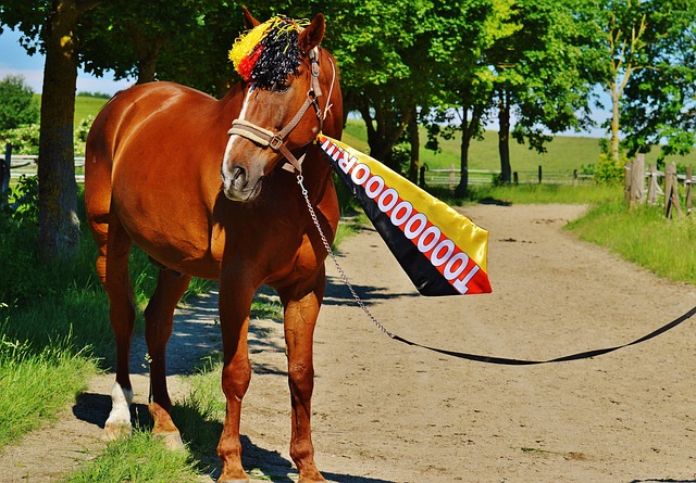 法连续打出 法连续打出