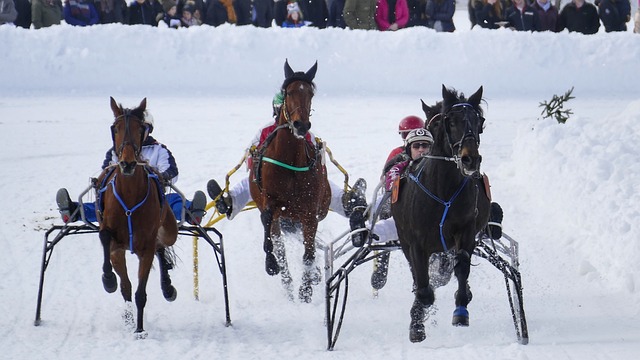 能否反弹的 能否反弹的