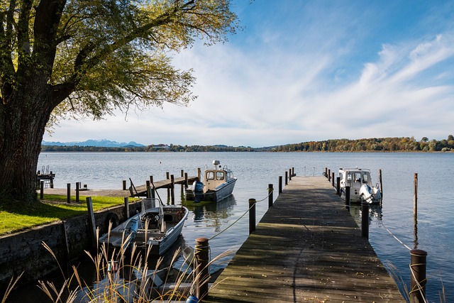 这一趋势 这一趋势